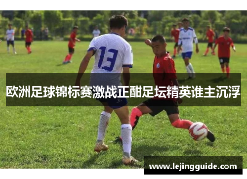 欧洲足球锦标赛激战正酣足坛精英谁主沉浮
