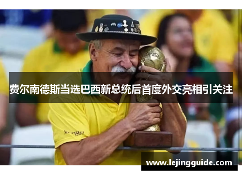 费尔南德斯当选巴西新总统后首度外交亮相引关注